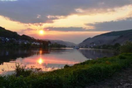 Gastehaus Sabine Hotel Zell an der Mosel Bagian luar foto