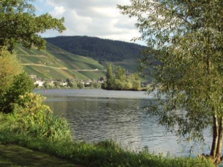Gastehaus Sabine Hotel Zell an der Mosel Bagian luar foto